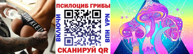 что такое   Миллерово  mega ссылка  Псилоцибиновые грибы Cubensis 