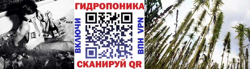 наркошоп  Миллерово  ссылка на мегу tor  Конопля White Widow 